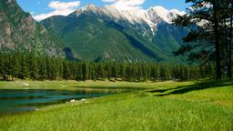 Hotels near Cranbrook airport