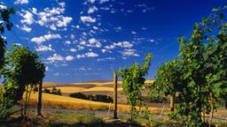 Walla Walla car rentals