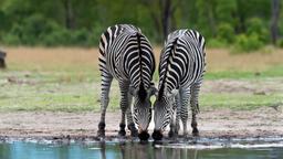 Find cheap flights to Zimbabwe