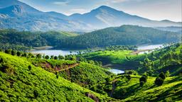 Munnar hotel directory