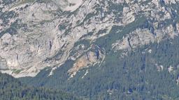 Scheffau am Wilden Kaiser Hotels