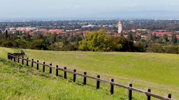 Palo Alto car rentals