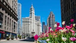 Hotels near Chicago O'Hare Airport
