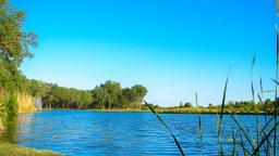 Norman car rentals