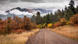 Pagosa Springs Hotels