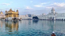 Find cheap flights from Tel Aviv to Amritsar