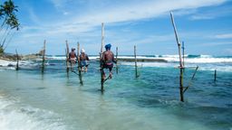 Find cheap flights to Sri Lanka