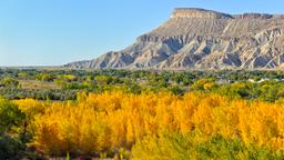 Grand Junction car rentals