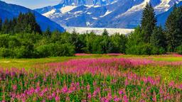 Alaska hotels