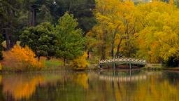 Daylesford Hotels