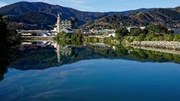 Nelson car rentals