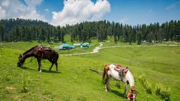 Gulmarg Hotels