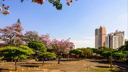 Londrina Hotels