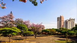 Londrina hotel directory