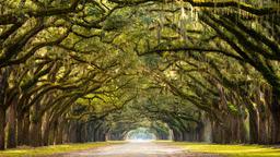 Find cheap flights from New Delhi to Savannah