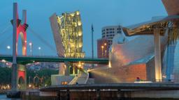 Bilbao hotels near Museo Guggenheim Bilbao