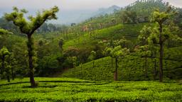 Valparai Hotels