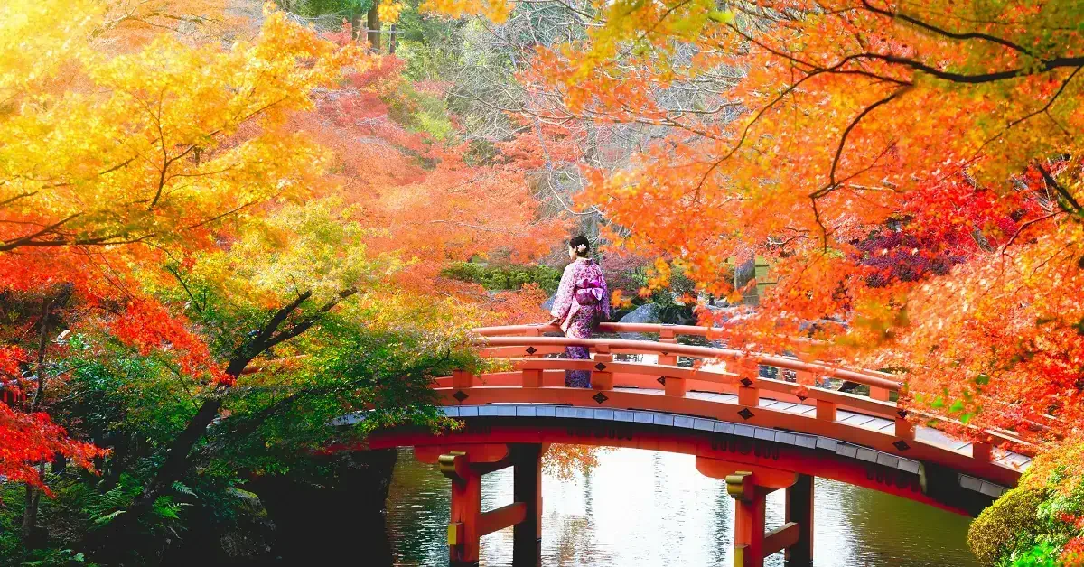 Autumn leaves, Japan