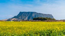 Hotels near Jeju airport