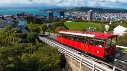Find cheap flights from New Delhi to Wellington