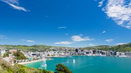 Find cheap flights to Wellington