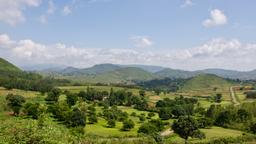 Araku Valley Hotels