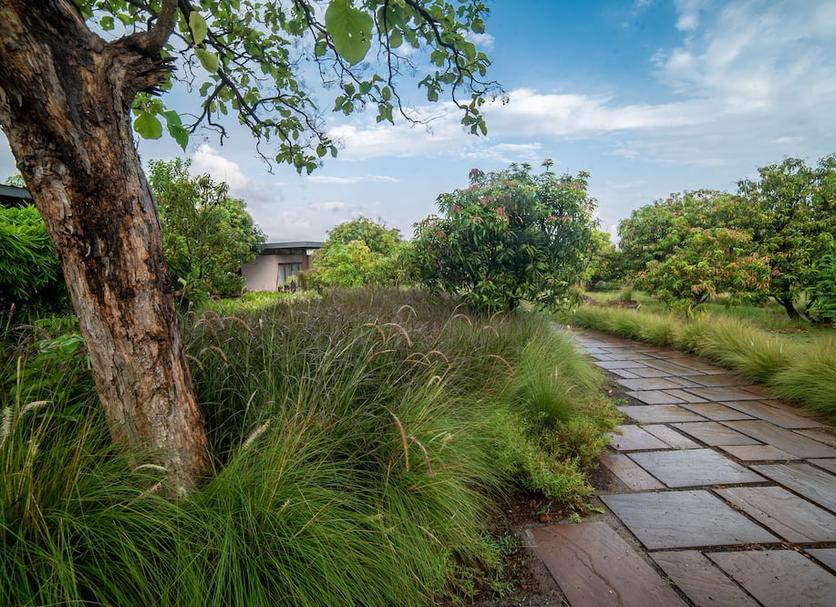 Outdoor view Photo