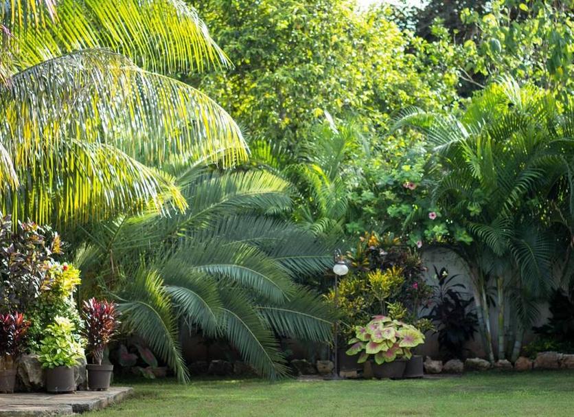 Outdoor view Photo