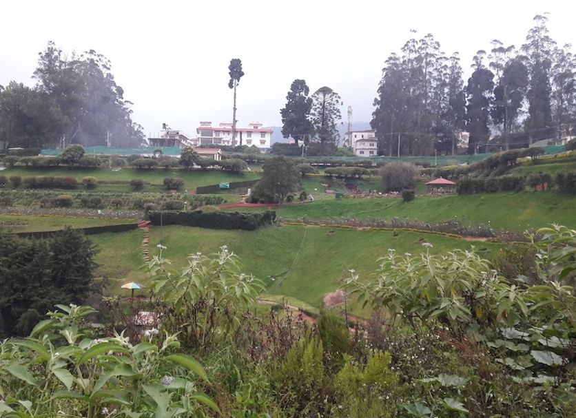 Outdoor view Photo