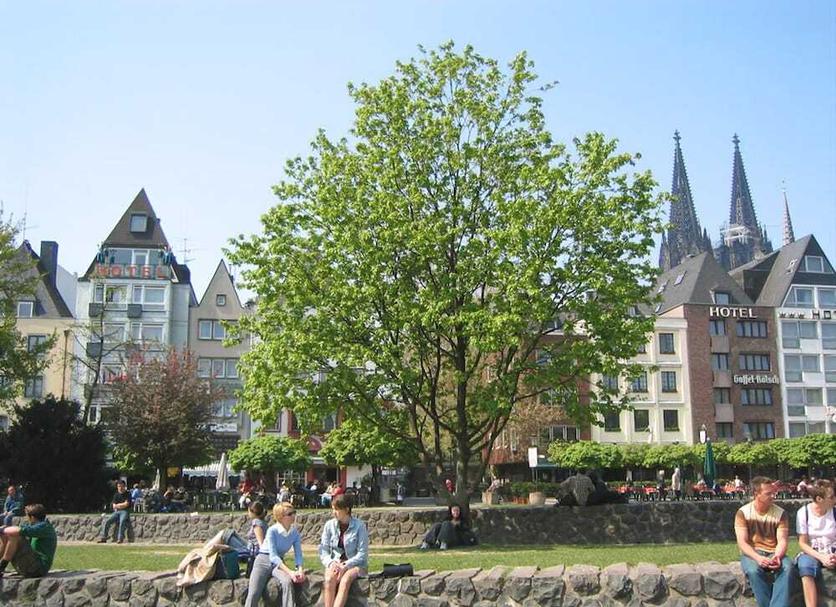 Outdoor view Photo