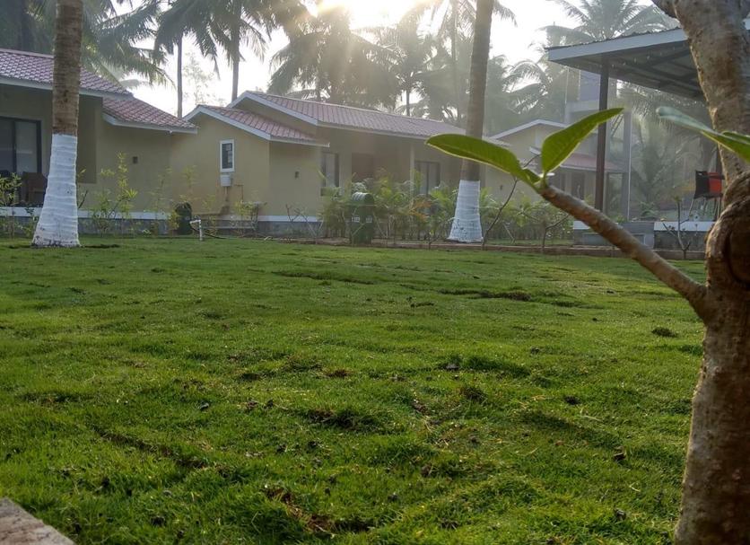Outdoor view Photo