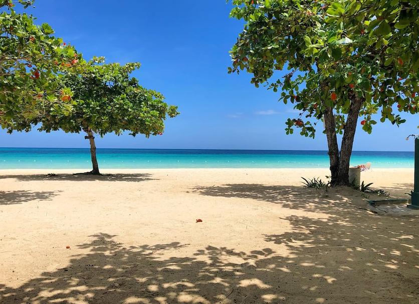 Beach Photo