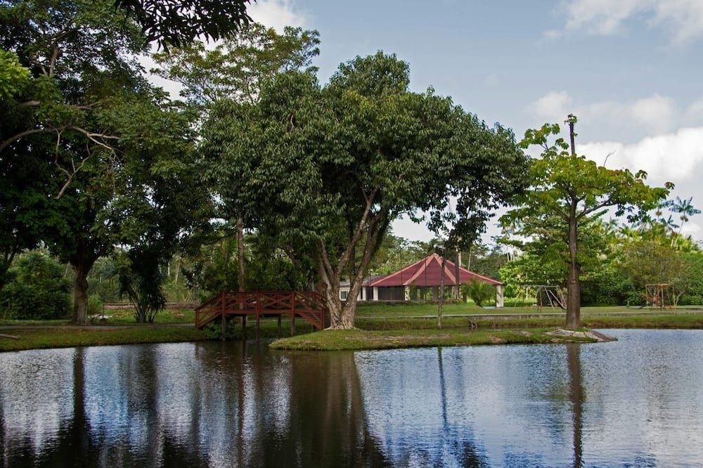 Outdoor view