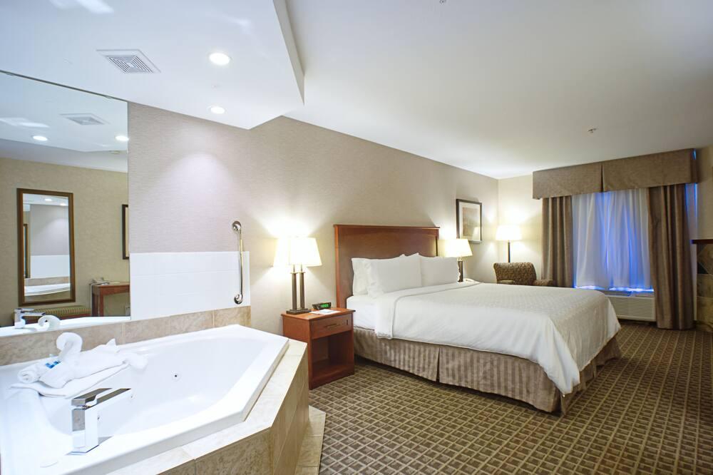 Share 136+ holiday inn king suite latest