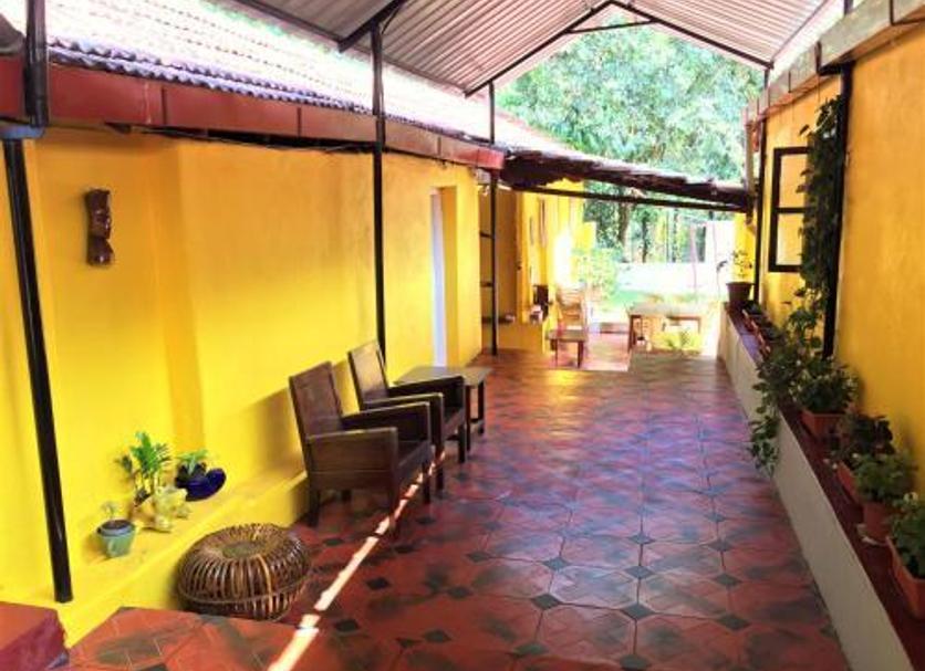 Patio Photo