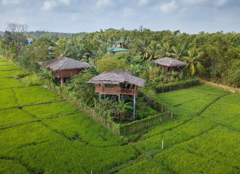 Outdoor view Photo
