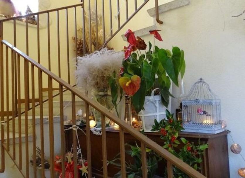 Stairs Photo