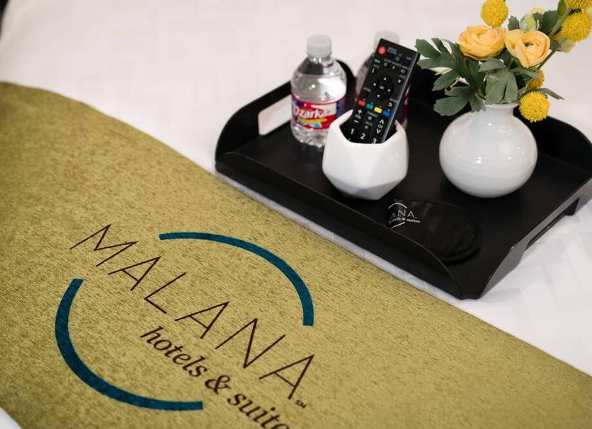 Room amenity Photo