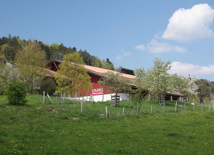 Outdoor view Photo
