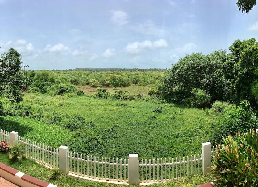 Outdoor view Photo