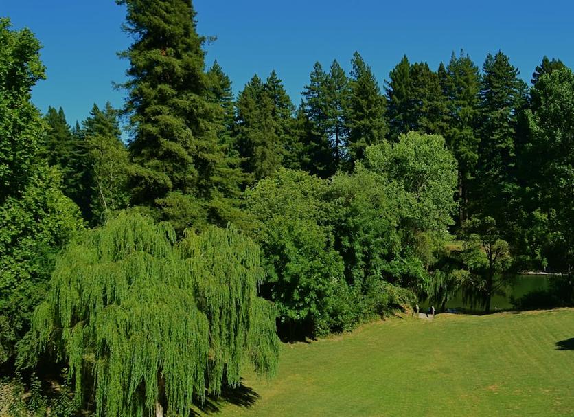 Outdoor view Photo
