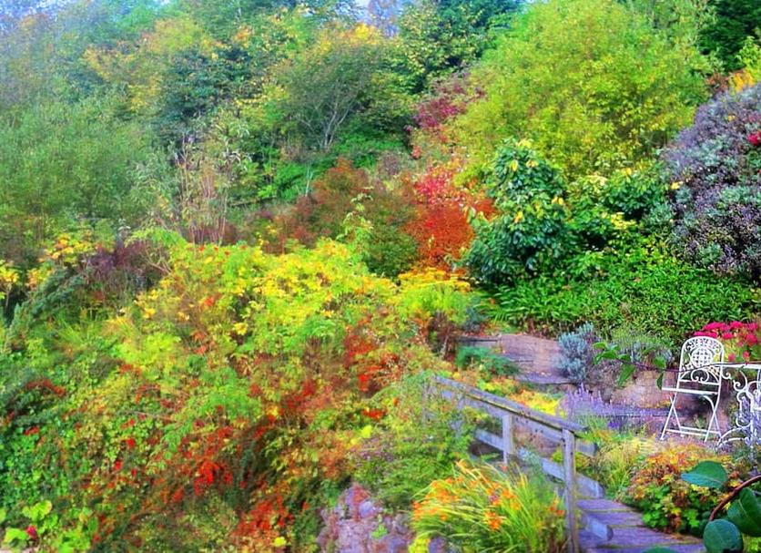 Outdoor view Photo