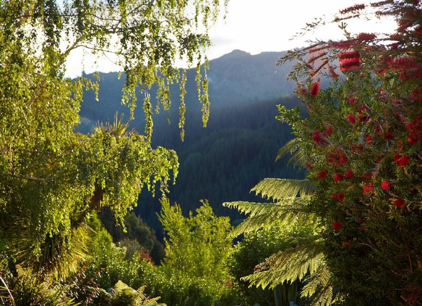 Outdoor view Photo