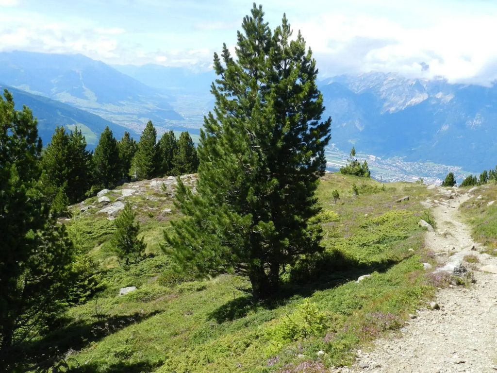 Outdoor view
