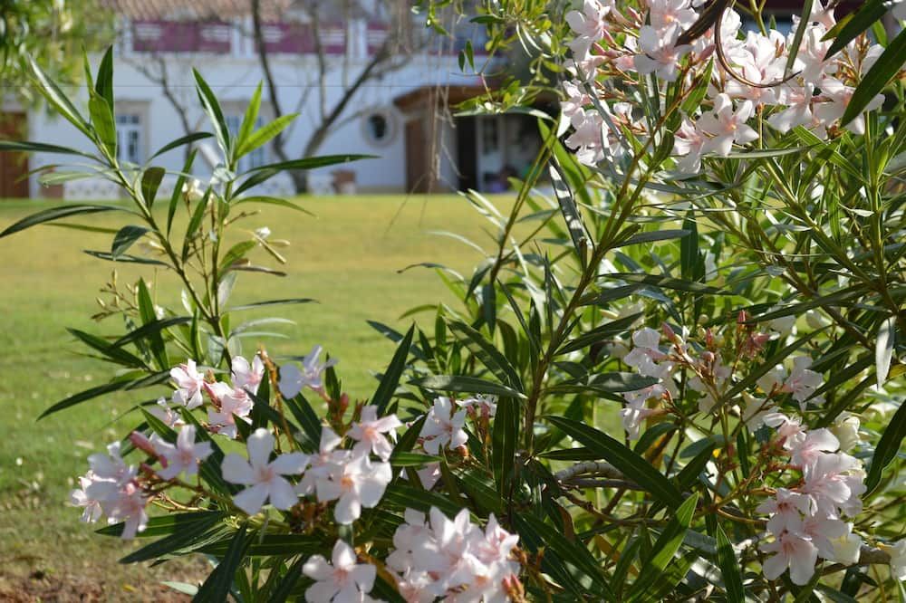 Outdoor view