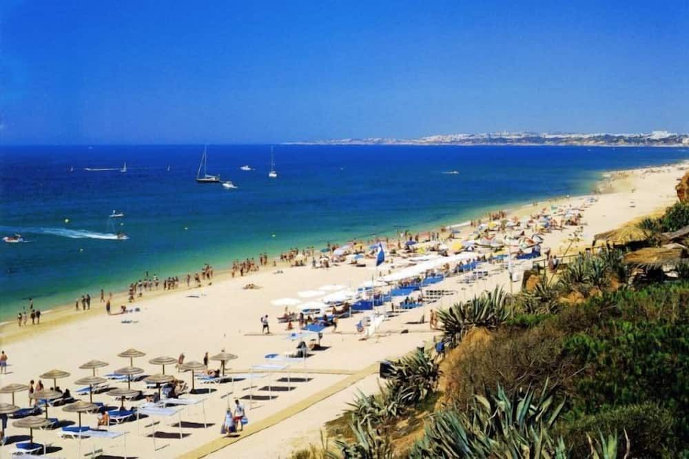 Beach Photo