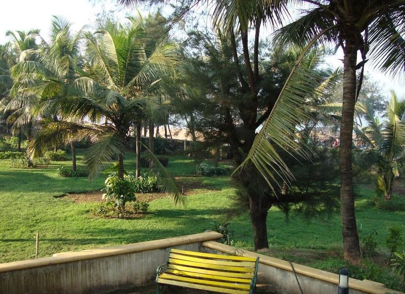 Other Photo