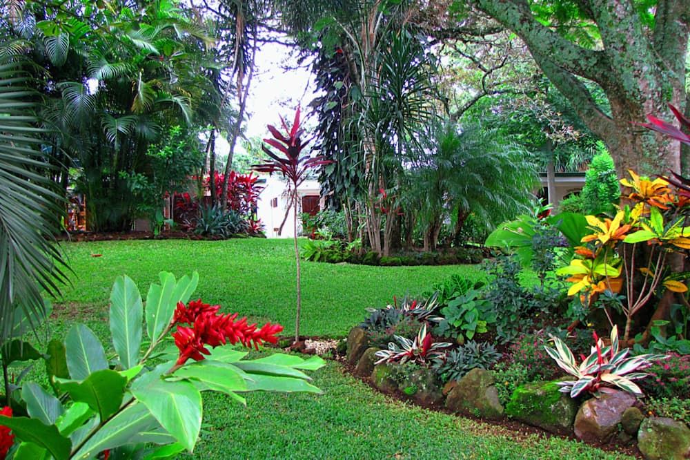 Outdoor view