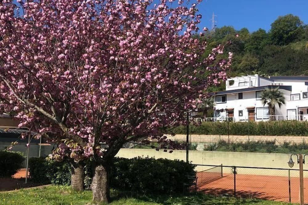 Outdoor view