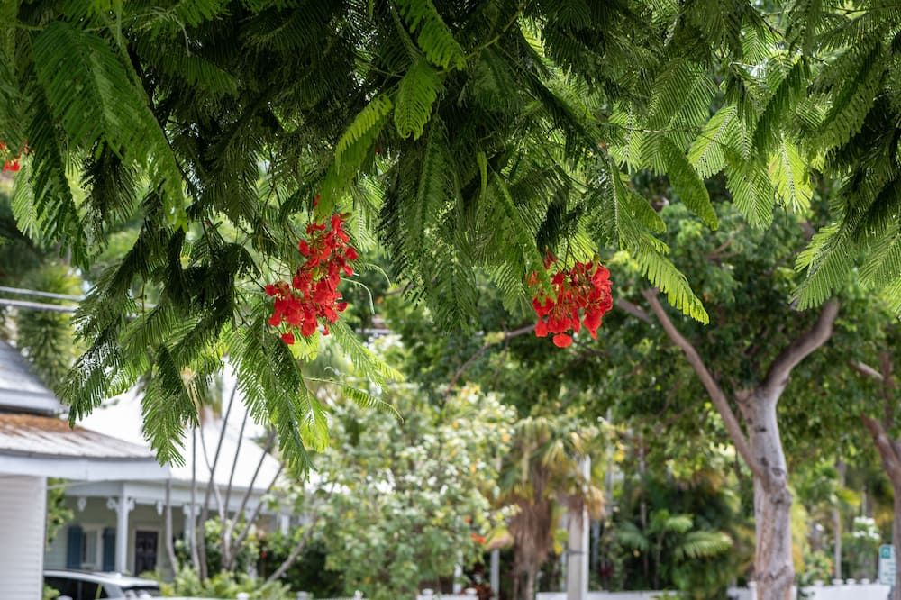 Outdoor view